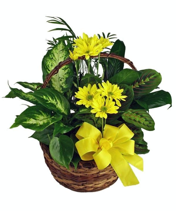 add fresh flowers & bow to planter